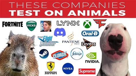 does hard candy test on animals 2014|Companies That Do Test on Animals .